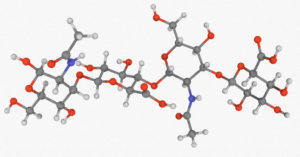 Hyaluronic acid (hyaluronan), molecular model.
