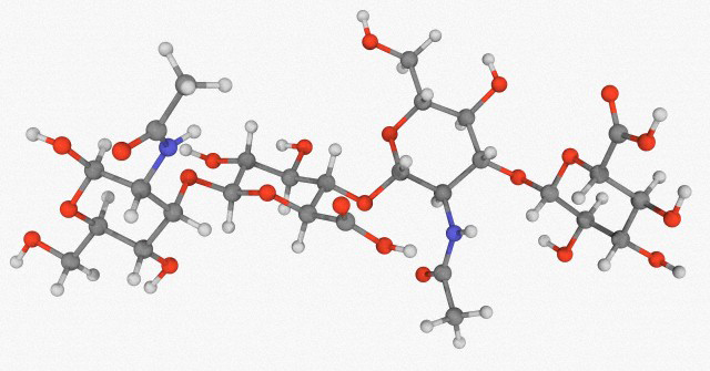 Hyaluronic acid (hyaluronan), molecular model