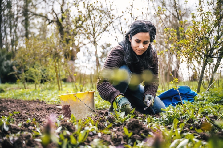 Spring Meals and Gardens